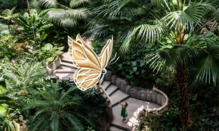 Menginap di Shangri-La Hotel Singapura, Lampaui Imajinasimu ke Dunia Petualang