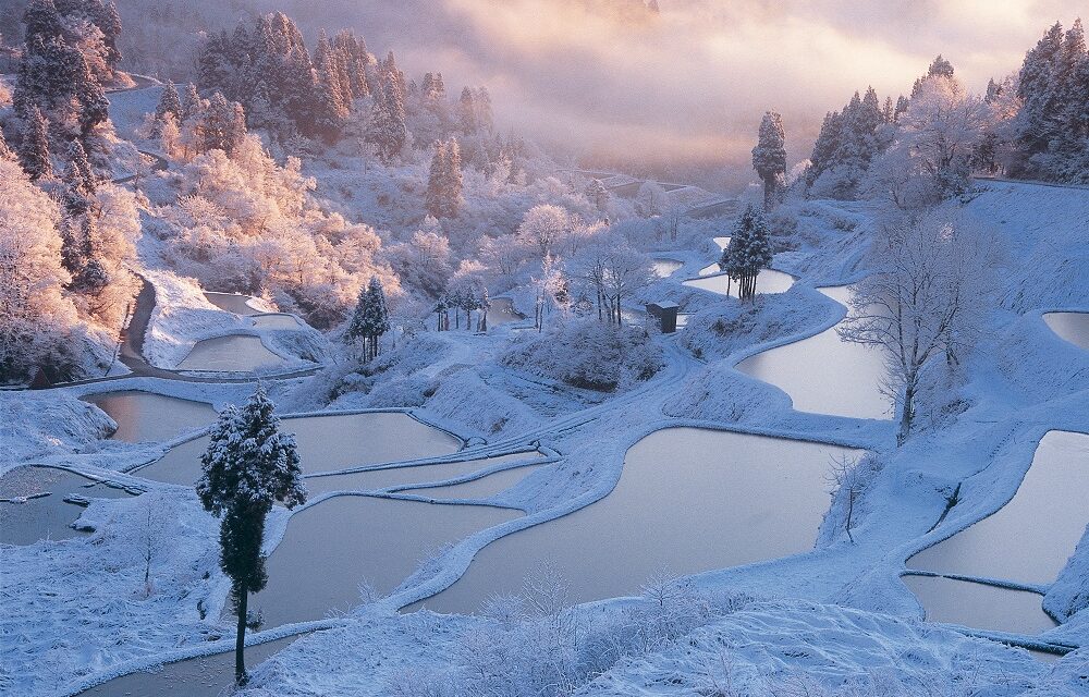 Mengenal Niigata, “Negeri Salju” di Jepang