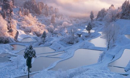 Mengenal Niigata, “Negeri Salju” di Jepang