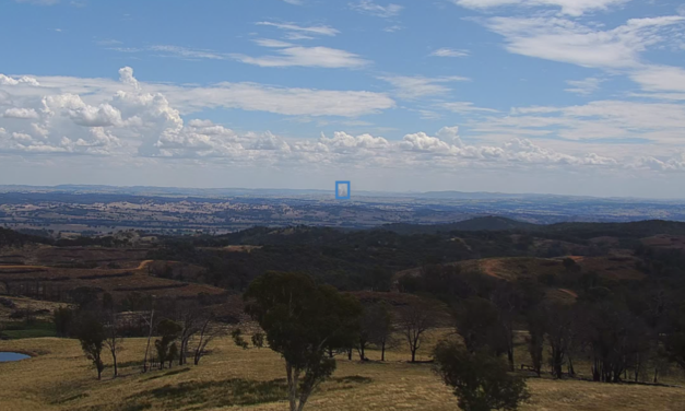 Pano AI Pasang Alat Pendeteksi Dini Kebakaran Hutan di New South Wales