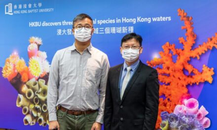 Ahli Biologi HKBU Temukan Tiga Spesies Karang Baru di Perairan Hong Kong
