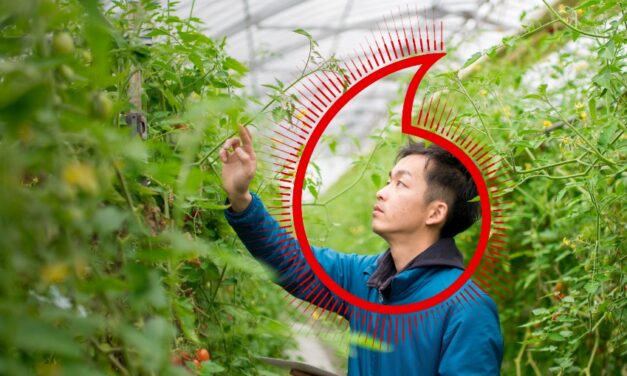 Studi Vodafone Terbaru: 70% Bisnis di Asia Pasifik BependapatKeberlanjutan Sebagai Hal yang Penting, Tetapi Kurang dari Setengahnya Berkomitmen Terhadap Net Zero
