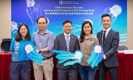 Tim yang Dipimpin Hong Kong Baptist University Temukan Spesies Baru Ubur-ubur Kotak di Mai Po Hongkong