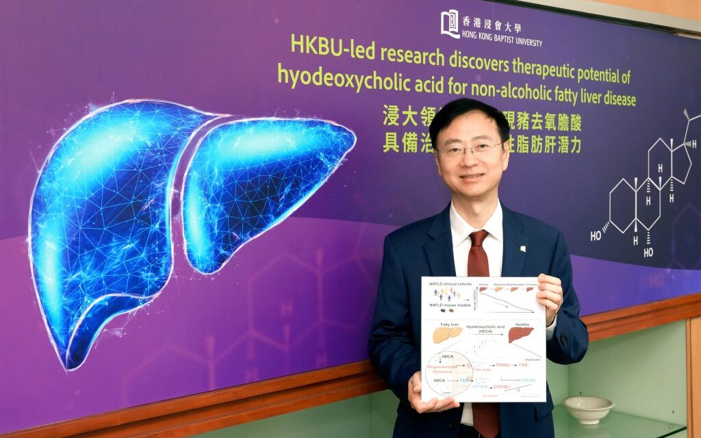 HKBU Temukan Potensi Terapeutik Asam Hyodeoxycholic untuk Kurangi Penumpukan Lemak dan Peradangan Pada Hati Berlemak Non-Alkohol