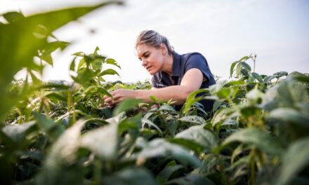 Syngenta Perluas Kepemimpinanya di Bidang Fungisida dengan Teknologi ADEPIDYN® yang Dipatenkan