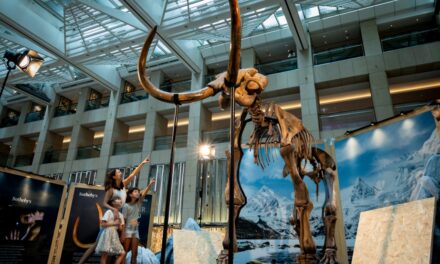 Sotheby’s Maison dan Landmark Bersama-sama Pamerkan Fosil Mamut Terbesar di Pusat Kota Hong Kong