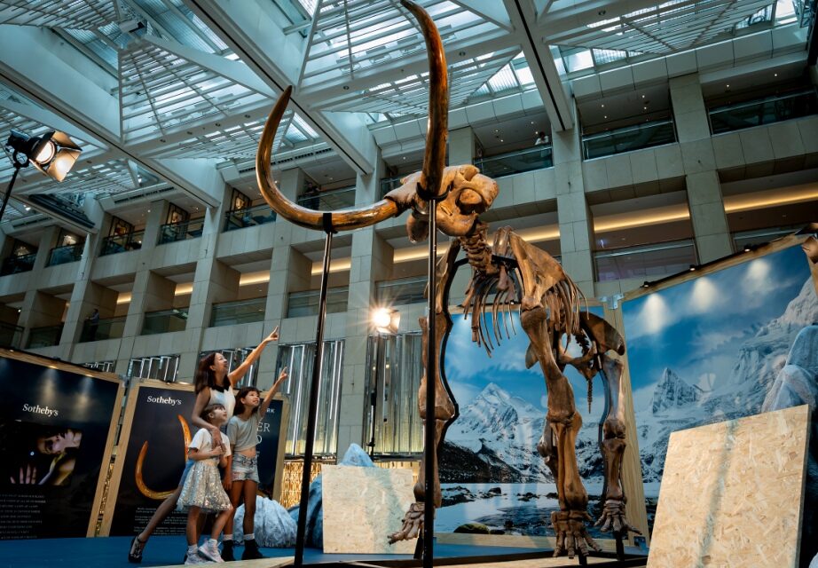 Sotheby’s Maison dan Landmark Bersama-sama Pamerkan Fosil Mamut Terbesar di Pusat Kota Hong Kong