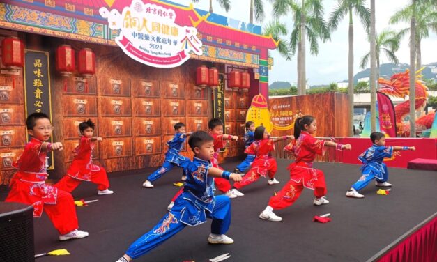 Karnaval Budaya Pengobatan Tradisional Tiongkok Tong Ren Tang, Warga Merasakan Warisan Budaya Takbenda Pengobatan Tiongkok yang Menyeimbangkan Budaya dan Hiburan