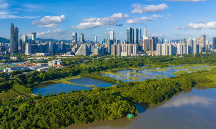 China dan 18 Negara Tandatangani dan Resmikan Pusat Mangrove Internasional di Shenzhen