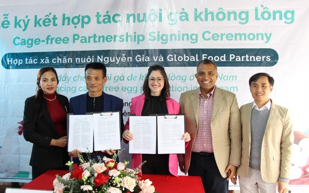 Program Insentif Dampak dari Global Food Partners Mendorong Transisi Terbesar di Vietnam ke Produksi Telur Bebas Kandang