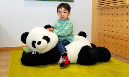 Shama Hub Metro South Hong Kong Luncurkan Kamar Bertema Panda untuk Memulai Perjalanan Impian Musim Semi