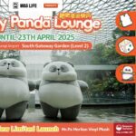 M&G LIFE dan MR.PA Hadirkan ‘Lucky Panda Lounge’ di Jewel Changi Airport, Perpaduan Seni, Gaya Hidup, dan Keceriaan