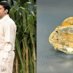 Bad Bunny Kenakan Berlian Desert Saat Tampil di Super Bowl LX pada 8 Februari 2026 di Santa Clara, California