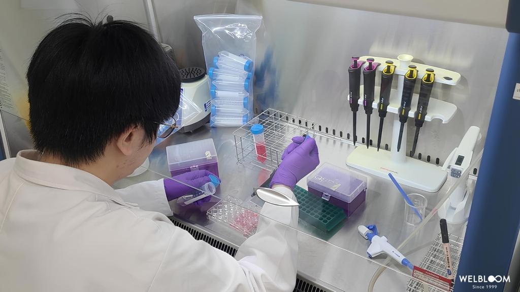 Bahan Paten Membantu Merek Suplemen Malaysia Tampil Lebih Unggul seiring Ekspansi Kehadiran Pasar Wel-Bloom Bio-Tech