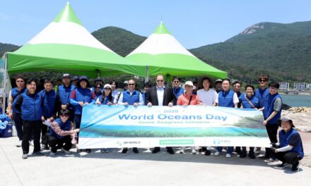 DP World Luncurkan Inisiatif Restorasi Padang Lamun Global Pertama di Korea Selatan