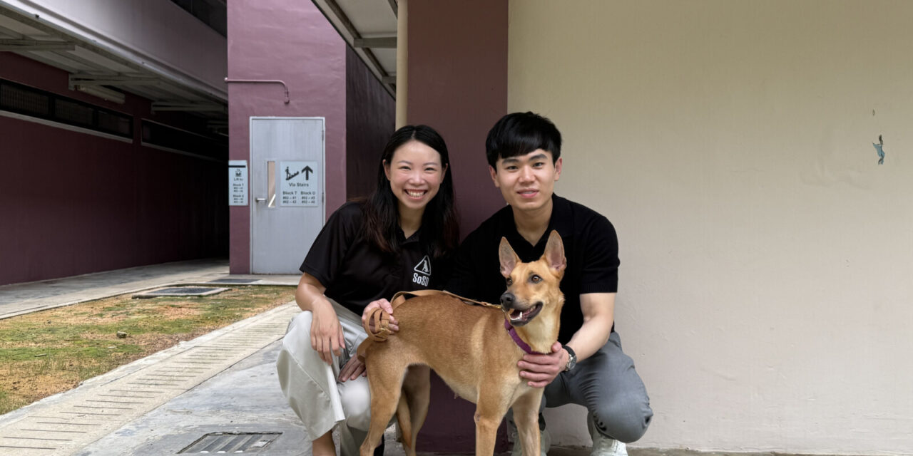 V Aesthetics Holdings Komitmen Sumbangkan S$400.000 untuk Kesejahteraan Anjing melalui SOSD