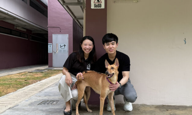 V Aesthetics Holdings Komitmen Sumbangkan S$400.000 untuk Kesejahteraan Anjing melalui SOSD